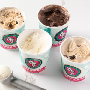 Chocolate Shoppe Ice Cream